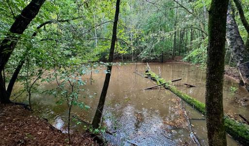 Photo #28 of SOLD property in Off Deer Run Road, Norwood, NC 17.0 acres