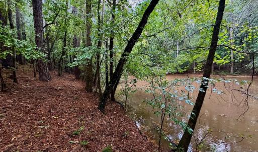 Photo #29 of SOLD property in Off Deer Run Road, Norwood, NC 17.0 acres
