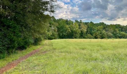 Photo #34 of SOLD property in Off Deer Run Road, Norwood, NC 17.0 acres
