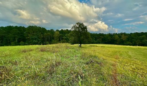Photo #36 of SOLD property in Off Deer Run Road, Norwood, NC 17.0 acres