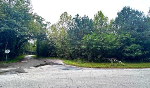 Photo #13 of SOLD property in Off Wakefield Rd. , Sedley, VA 14.1 acres
