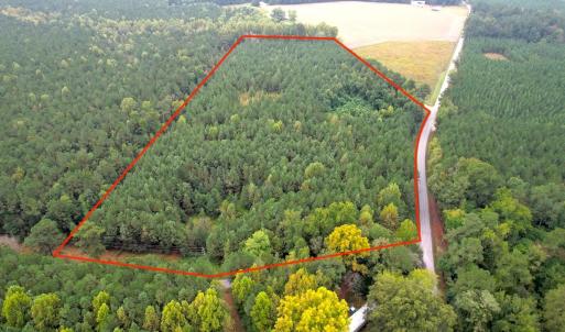 Photo #2 of SOLD property in Off Wakefield Rd. , Sedley, VA 14.1 acres