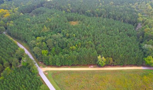 Photo #3 of SOLD property in Off Wakefield Rd. , Sedley, VA 14.1 acres