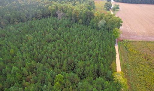 Photo #4 of SOLD property in Off Wakefield Rd. , Sedley, VA 14.1 acres