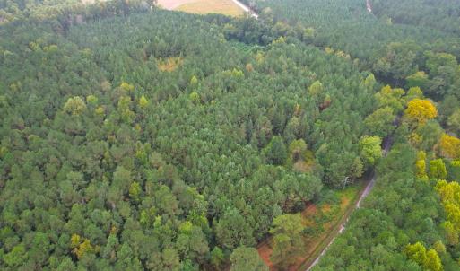 Photo #5 of SOLD property in Off Wakefield Rd. , Sedley, VA 14.1 acres