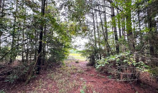 Photo #17 of SOLD property in Off Wakefield Rd. , Sedley, VA 14.1 acres