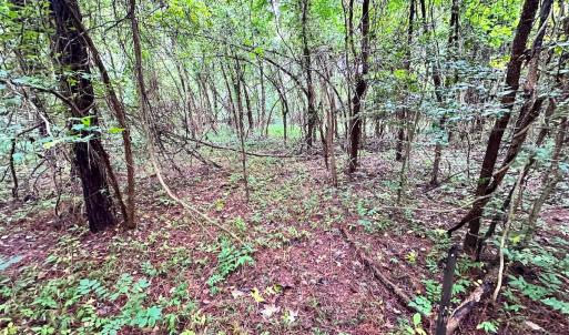 Photo #18 of SOLD property in Off Wakefield Rd. , Sedley, VA 14.1 acres