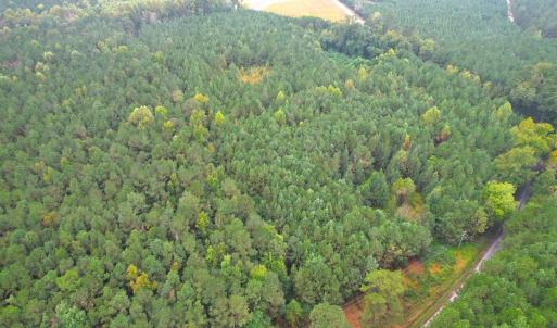 Photo #21 of SOLD property in Off Wakefield Rd. , Sedley, VA 14.1 acres