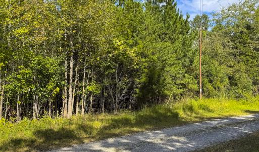 Photo #4 of SOLD property in Lot-6, Off Wilson Road, Providence, NC 3.0 acres