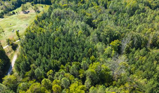 Photo #10 of SOLD property in Lot-6, Off Wilson Road, Providence, NC 3.0 acres