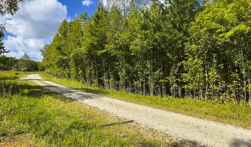 Photo #12 of SOLD property in Lot-6, Off Wilson Road, Providence, NC 3.0 acres