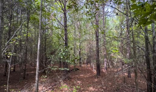 Photo #25 of SOLD property in Lot-6, Off Wilson Road, Providence, NC 3.0 acres