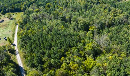 Photo #29 of SOLD property in Lot-6, Off Wilson Road, Providence, NC 3.0 acres