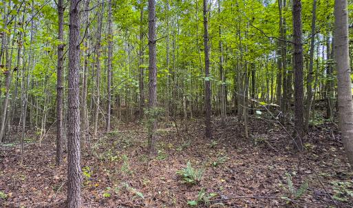 Photo #30 of SOLD property in Lot-6, Off Wilson Road, Providence, NC 3.0 acres