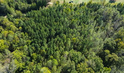 Photo #31 of SOLD property in Lot-6, Off Wilson Road, Providence, NC 3.0 acres