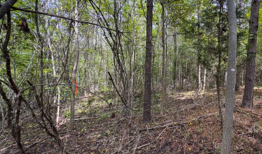 Photo #33 of SOLD property in Lot-6, Off Wilson Road, Providence, NC 3.0 acres