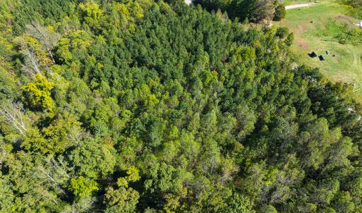Photo #37 of SOLD property in Lot-6, Off Wilson Road, Providence, NC 3.0 acres
