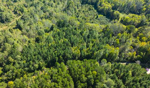 Photo #7 of SOLD property in Lot-9, Off Wilson Road, Providence, NC 3.8 acres