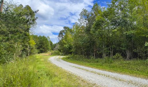 Photo #9 of SOLD property in Lot-9, Off Wilson Road, Providence, NC 3.8 acres