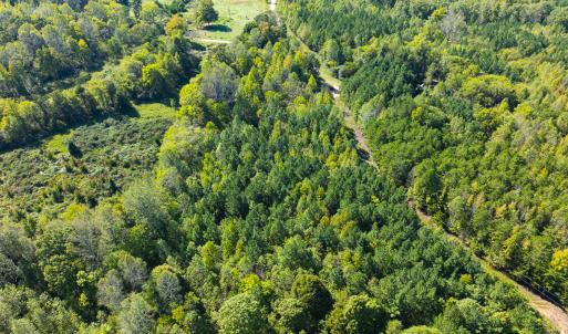 Photo #11 of SOLD property in Lot-9, Off Wilson Road, Providence, NC 3.8 acres