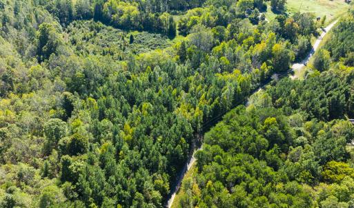 Photo #14 of SOLD property in Lot-9, Off Wilson Road, Providence, NC 3.8 acres