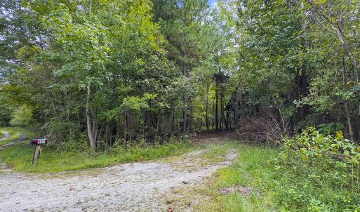 Photo #16 of SOLD property in Lot-9, Off Wilson Road, Providence, NC 3.8 acres