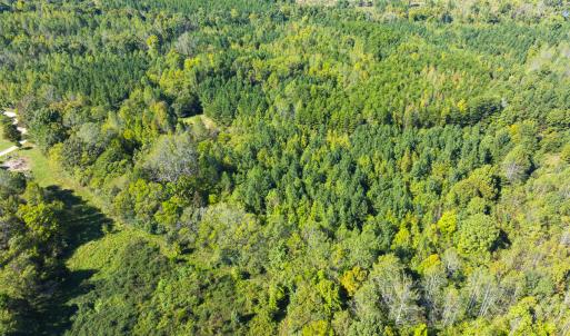 Photo #20 of SOLD property in Lot-9, Off Wilson Road, Providence, NC 3.8 acres