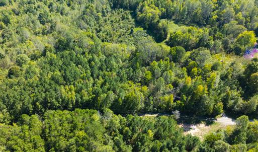 Photo #23 of SOLD property in Lot-9, Off Wilson Road, Providence, NC 3.8 acres