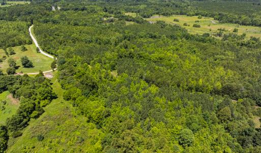 Photo #36 of SOLD property in Lot-9, Off Wilson Road, Providence, NC 3.8 acres