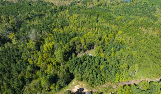 Photo #2 of SOLD property in Lot-7, Off  Wilson Road, Providence, NC 10.0 acres