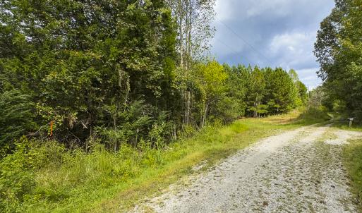 Photo #4 of SOLD property in Lot-7, Off  Wilson Road, Providence, NC 10.0 acres