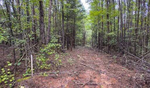 Photo #6 of SOLD property in Lot-7, Off  Wilson Road, Providence, NC 10.0 acres