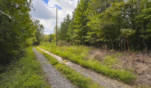 Photo #9 of SOLD property in Lot-7, Off  Wilson Road, Providence, NC 10.0 acres