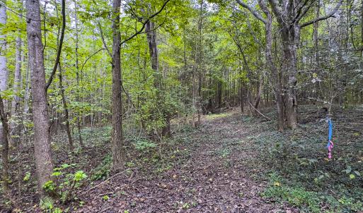 Photo #11 of SOLD property in Lot-7, Off  Wilson Road, Providence, NC 10.0 acres