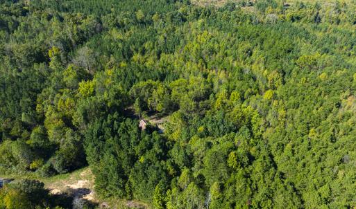 Photo #12 of SOLD property in Lot-7, Off  Wilson Road, Providence, NC 10.0 acres