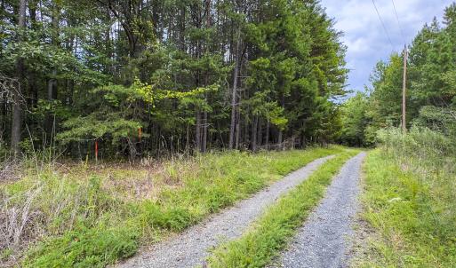 Photo #14 of SOLD property in Lot-7, Off  Wilson Road, Providence, NC 10.0 acres