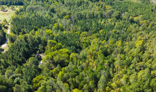 Photo #18 of SOLD property in Lot-7, Off  Wilson Road, Providence, NC 10.0 acres