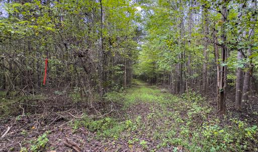 Photo #20 of SOLD property in Lot-7, Off  Wilson Road, Providence, NC 10.0 acres