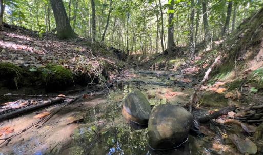 Photo #21 of SOLD property in Lot-7, Off  Wilson Road, Providence, NC 10.0 acres