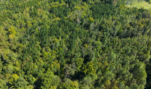 Photo #23 of SOLD property in Lot-7, Off  Wilson Road, Providence, NC 10.0 acres