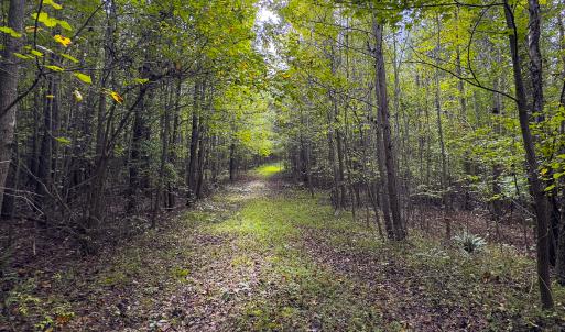 Photo #25 of SOLD property in Lot-7, Off  Wilson Road, Providence, NC 10.0 acres