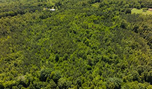 Photo #31 of SOLD property in Lot-7, Off  Wilson Road, Providence, NC 10.0 acres