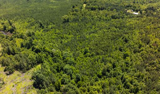 Photo #37 of SOLD property in Lot-7, Off  Wilson Road, Providence, NC 10.0 acres