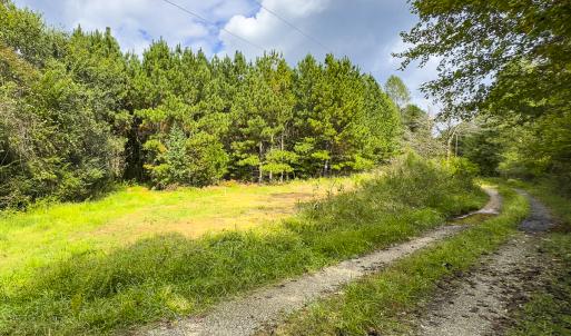 Photo #38 of SOLD property in Lot-7, Off  Wilson Road, Providence, NC 10.0 acres