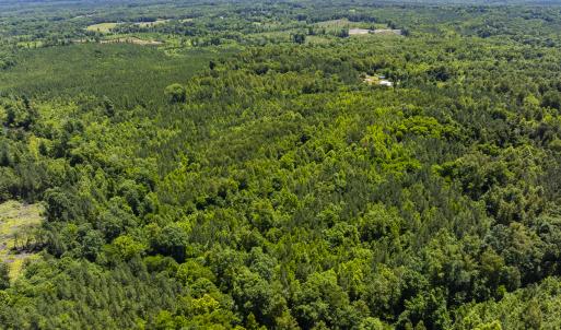 Photo #40 of SOLD property in Lot-7, Off  Wilson Road, Providence, NC 10.0 acres