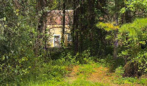 Photo #41 of SOLD property in Lot-7, Off  Wilson Road, Providence, NC 10.0 acres