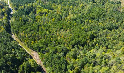 Photo #2 of SOLD property in Lot-8, Off Wilson Road, Providence, NC 16.6 acres