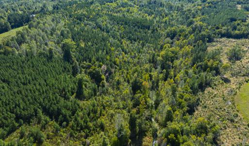 Photo #7 of SOLD property in Lot-8, Off Wilson Road, Providence, NC 16.6 acres