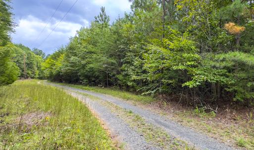 Photo #9 of SOLD property in Lot-8, Off Wilson Road, Providence, NC 16.6 acres