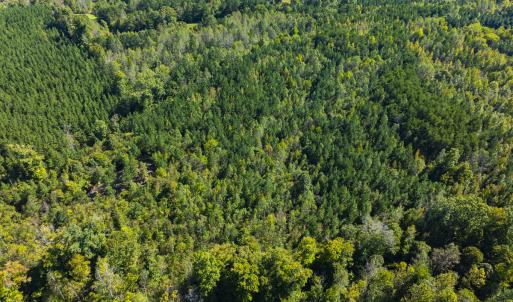 Photo #10 of SOLD property in Lot-8, Off Wilson Road, Providence, NC 16.6 acres